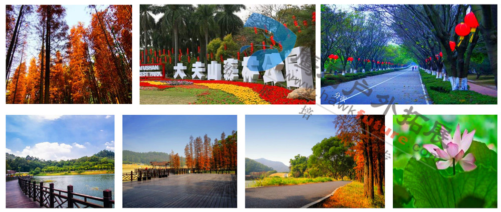 场地介绍.jpg