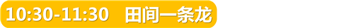 标题 (2).png